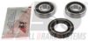  201018 Wheel Bearing Kit